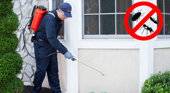 Sığacık Bit İlaçlama böcek ilaçlama ve haşere kontrolü — ilaclama-tr.com